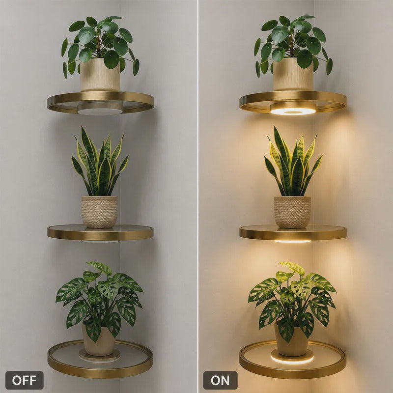 Round Floating Wall Shelf LED Light Rechargeable USB 4