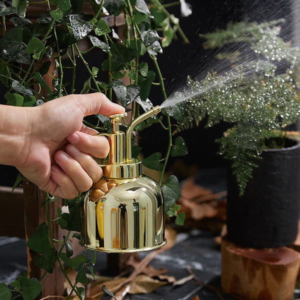 Brass Plant Mister for Men | Fine Mist Spray Mechanism | Lightweight Portable Design for Controlled Plant Watering 1