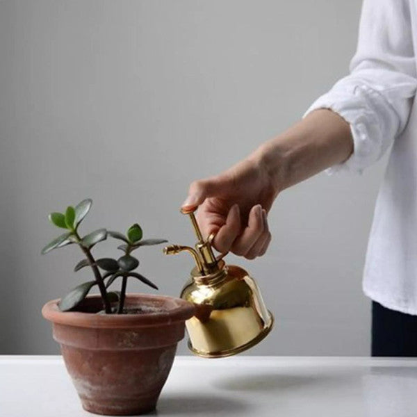 Brass Plant Mister for Men | Fine Mist Spray Mechanism | Lightweight Portable Design for Controlled Plant Watering 5