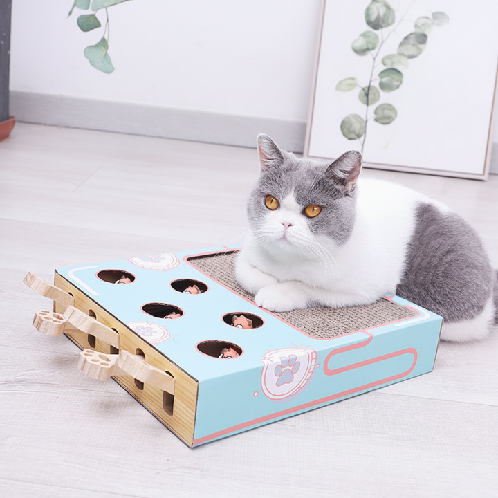 Cat Scratcher Playground Corrugated Paper | 3-in-1 Climbing, Hiding and Scratching Levels | Protects Furniture &amp; Keeps Cats Active 1