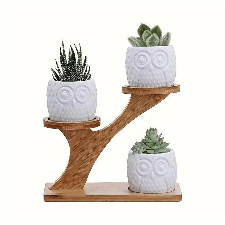 Two-Tier Plant Stand Bamboo Freestanding Indoor with Recessed Platforms 4