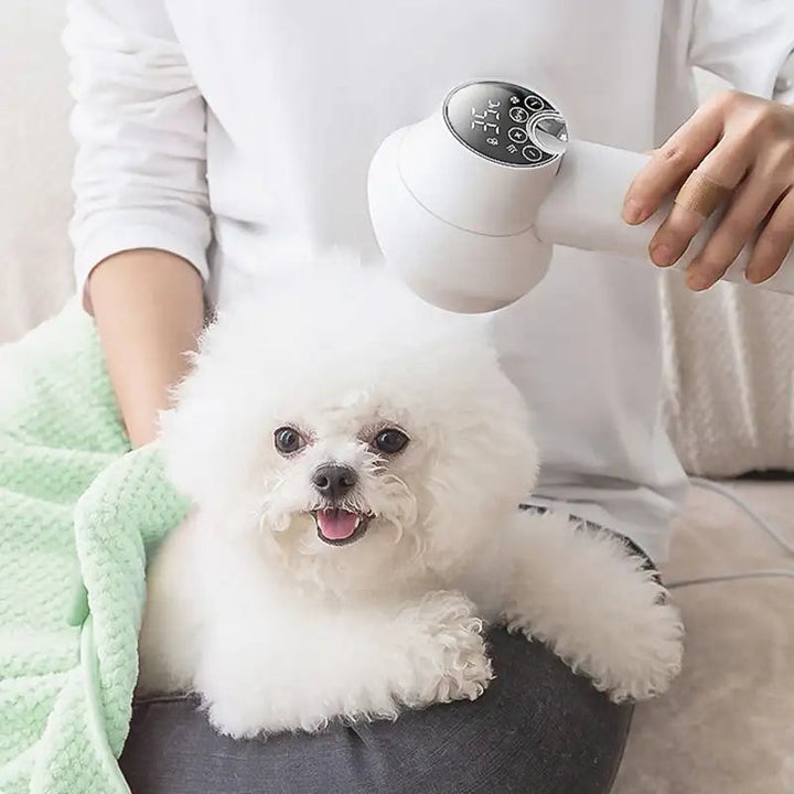 2 in 1 Dog Hair Dryer with Slicker Brush | Adjustable Heat 35-65°C &amp; 4-Speed Airflow | Quiet 55dB Pet Grooming Dryer