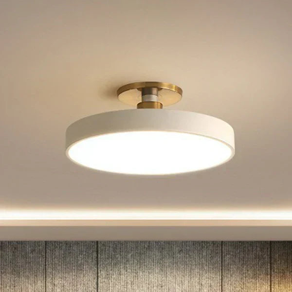 LED Ceiling Lamp Round Modern Flush Mount with Dual Colour Temperature 9