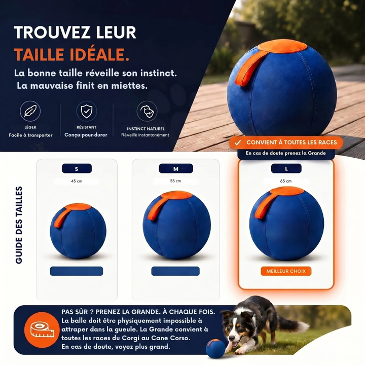 Interactive Dog Ball | Textured, Chew-Resistant Design for Active Play | Supports Daily Exercise and Reduces Boredom 2