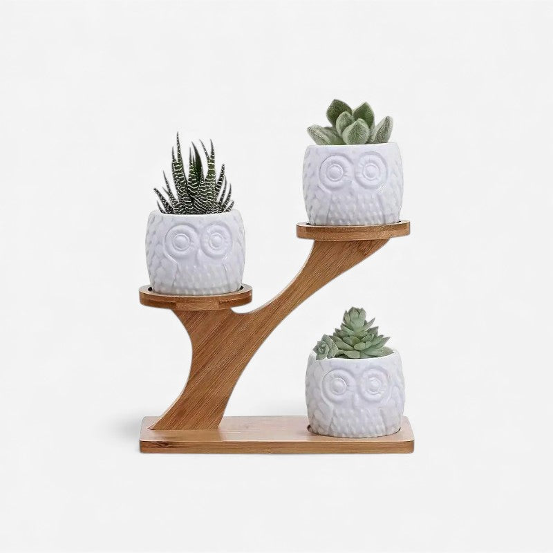 3-Tier Bamboo Plant Stand | Tree-Shaped Indoor Display