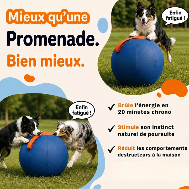Interactive Dog Ball | Textured, Chew-Resistant Design for Active Play | Supports Daily Exercise and Reduces Boredom 3