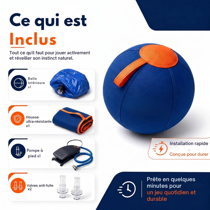 Interactive Dog Ball | Textured, Chew-Resistant Design for Active Play | Supports Daily Exercise and Reduces Boredom 4
