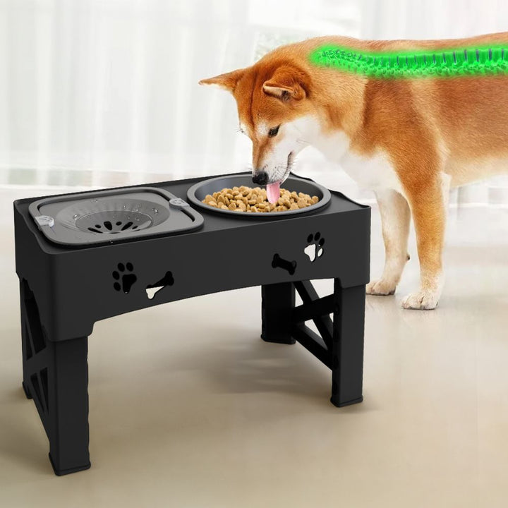 Raised Dog Feeder ABS &amp; Stainless Steel | 5-Level Adjustable Slow Feed Bowl | Non-Slip Base, Prevents Bloating &amp; Choking 2