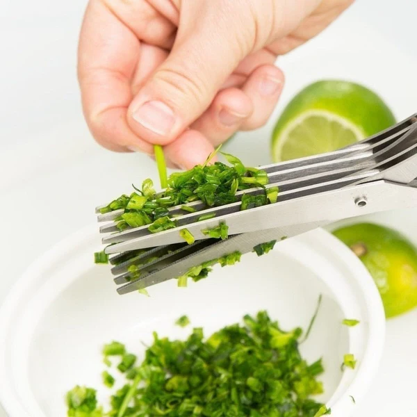 5 Blade Herb Scissors Stainless Steel | Cleaning Comb &amp; Protective Cover Included | Cuts Herbs, Salad and Chives in Seconds