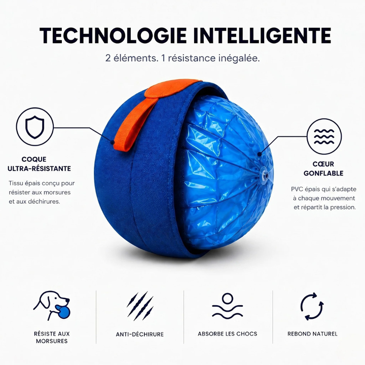Interactive Dog Ball | Textured, Chew-Resistant Design for Active Play | Supports Daily Exercise and Reduces Boredom 5