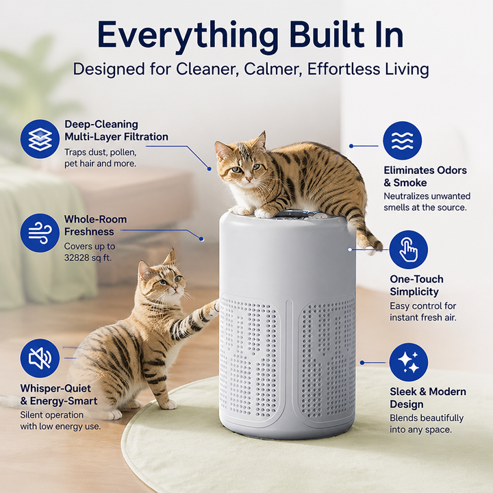 Air Purifier | Multi-Layer Filtration, Wide Coverage | Low-Noise, Single-Button Control with Filter Included