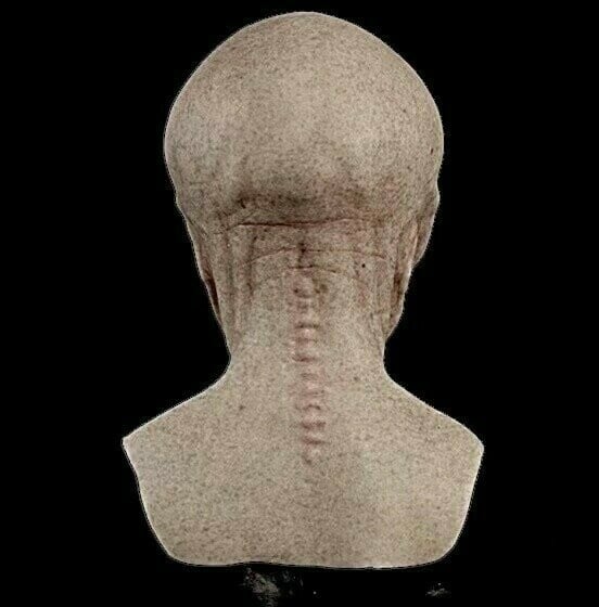 Alien Silicone Mask | Realistic Sci-Fi Costume Design | Breathable Foam-Lined Fit for Halloween Parties &amp; Pranks