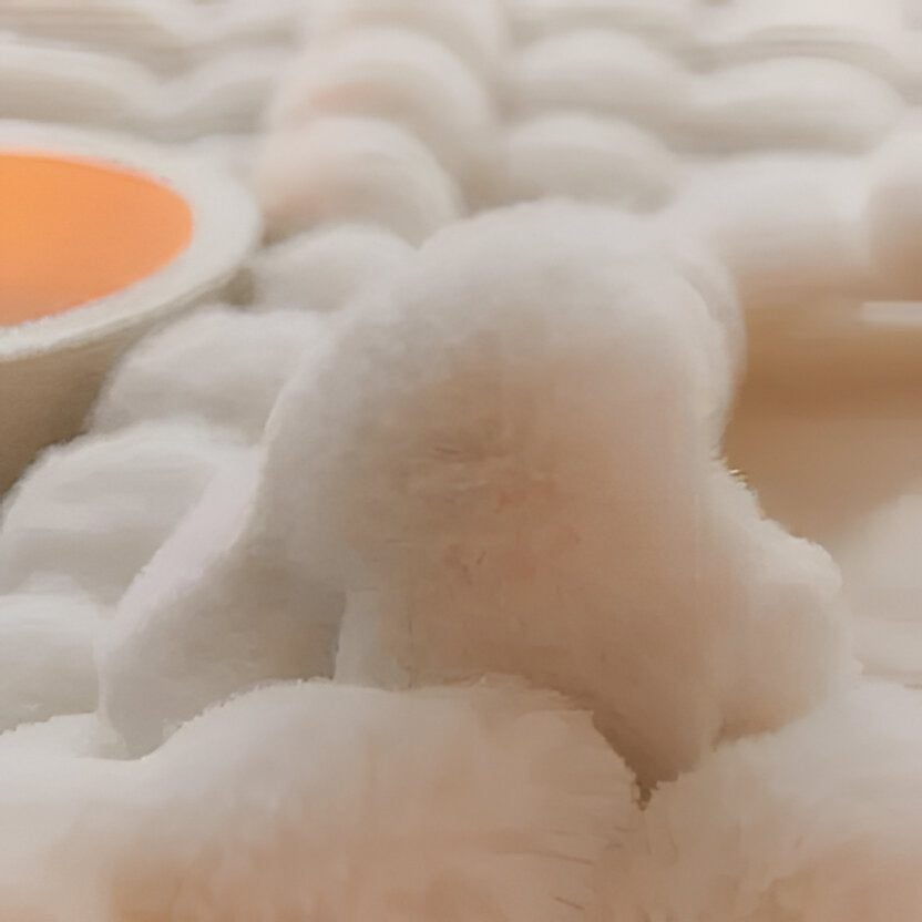 All-Season Plush Blanket | Lightweight Throw for Bed, Sofa or Travel | Machine Washable, Cosy Year-Round Comfort