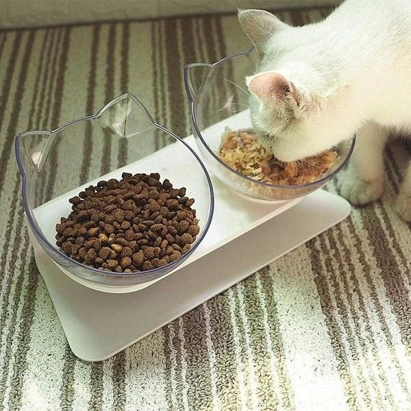 Anti-Vomiting Cat Bowl | Forward Tilt, Lift-Out Twin Bowls