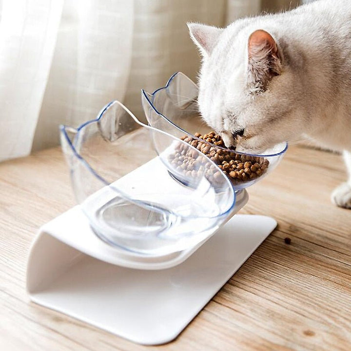 Anti-Vomiting Cat Bowl 1