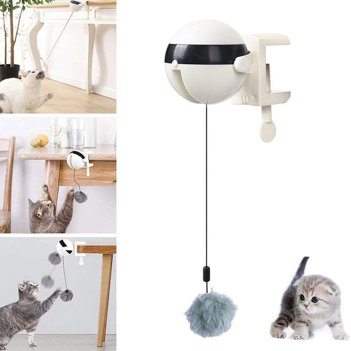 Automatic Cat Toy Ball | Rising Cord Teaser, Edge Clamp