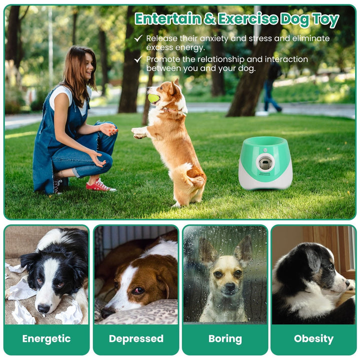 Automatic Dog Ball Launcher | 3 Distance Settings | Infrared Safety Sensor | 5-Hour Battery | Includes 6 Balls