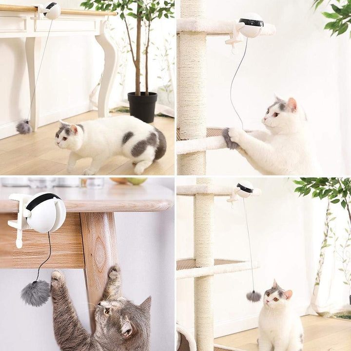 Automatic Cat Toy Ball 1