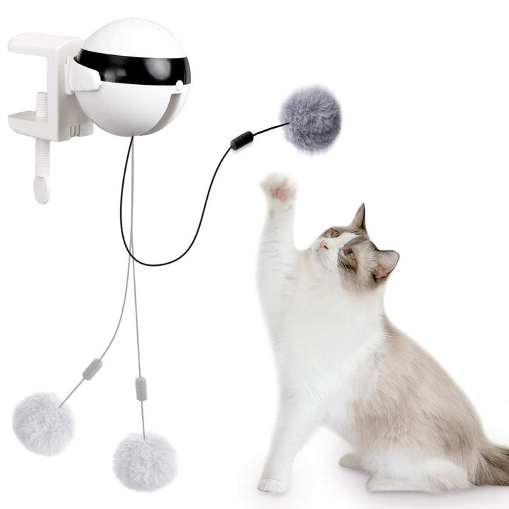 Automatic Cat Toy Ball 2