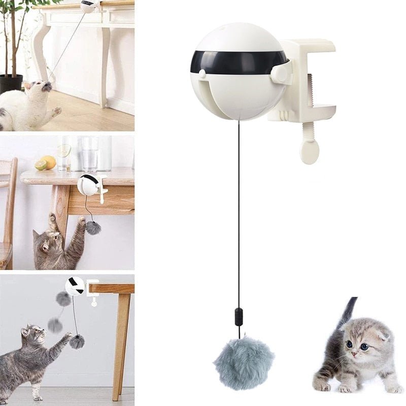 Automatic Cat Toy Ball 3