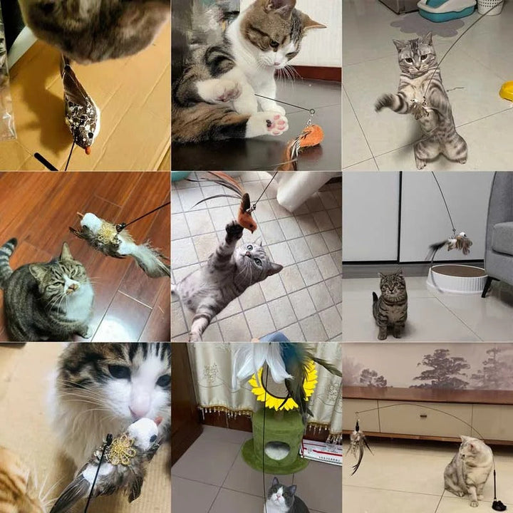 Bird Simulation Cat Toy | Suction Cup Mount, 5 Replaceable Bird Toys with Bells | Encourages Independent Play &amp; Exercise