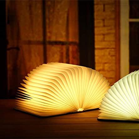 Book Shaped LED Night Light | USB Rechargeable, Touch Sensor Dimmer | Cordless Bedside Lamp, 22 x 17 cm Open Book Design
