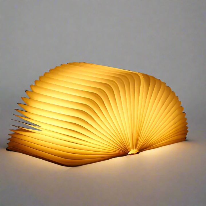Book Shaped LED Night Light | USB Rechargeable, Touch Sensor Dimmer | Cordless Bedside Lamp, 22 x 17 cm Open Book Design