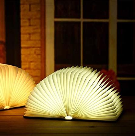 Book Shaped LED Night Light | USB Rechargeable, Touch Sensor Dimmer | Cordless Bedside Lamp, 22 x 17 cm Open Book Design