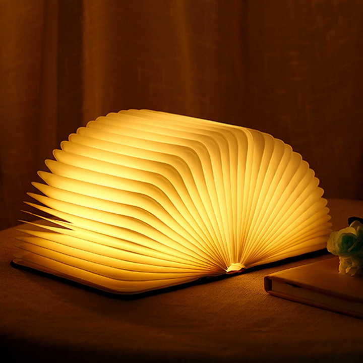 Book Shaped LED Night Light | USB Rechargeable, Touch Sensor Dimmer | Cordless Bedside Lamp, 22 x 17 cm Open Book Design