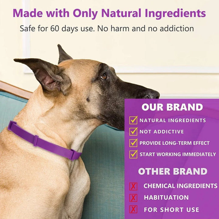 Calming Collar for Dogs &amp; Cats | 60-Day Pheromone &amp; Essential Oil Release | Adjustable, Water-Resistant, Purple or Grey