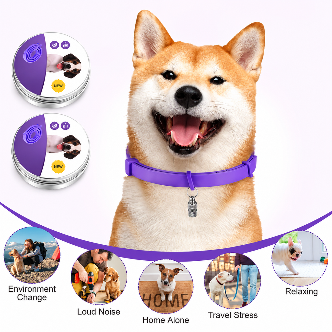 Calming Collar for Dogs &amp; Cats | 60-Day Pheromone &amp; Essential Oil Release | Adjustable, Water-Resistant, Purple or Grey