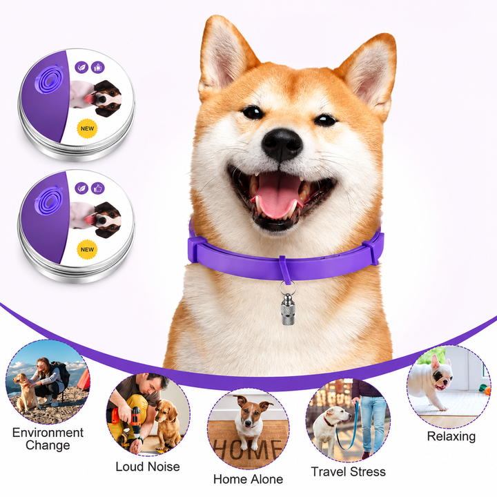 Calming Collar for Dogs &amp; Cats | 60-Day Pheromone &amp; Essential Oil Release | Adjustable, Water-Resistant, Purple or Grey