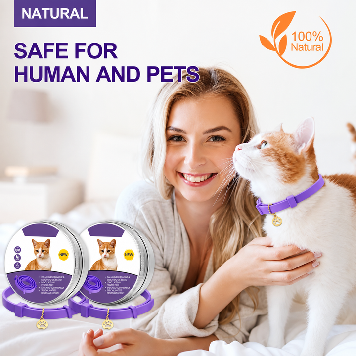 Calming Collar for Dogs &amp; Cats | 60-Day Pheromone &amp; Essential Oil Release | Adjustable, Water-Resistant, Purple or Grey