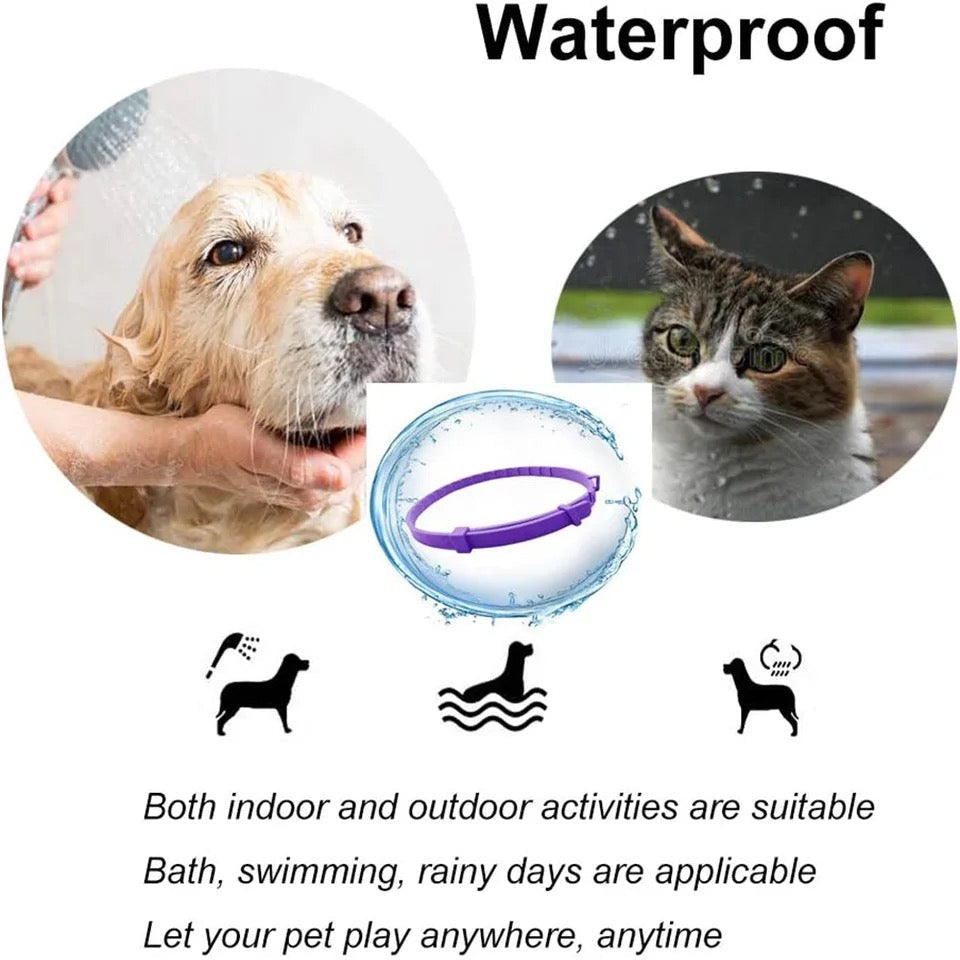 Calming Collar for Dogs &amp; Cats | 60-Day Pheromone &amp; Essential Oil Release | Adjustable, Water-Resistant, Purple or Grey