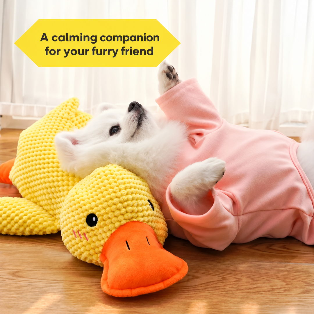 Calming Plush Duck Dog Toy | Soft Bite-Resistant Fabric | Reduces Anxiety for Deeper, Calmer Sleep and Safe for Teeth and Gums