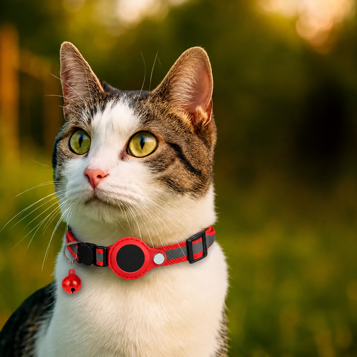 Cat Collar with GPS Mount | Reflective Safety Buckle