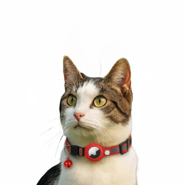 Cat Collar with GPS Mount | Reflective Safety Buckle