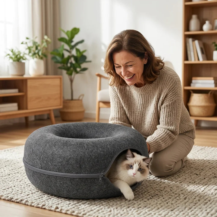 Cat Hideout Bed | Interactive Peek-a-Boo Play Design | Cosy Enclosed Retreat for Cats to Hide, Relax and Unwind