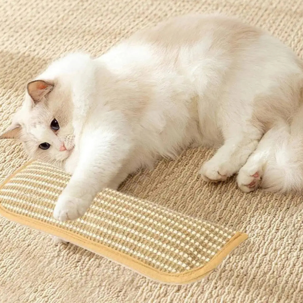Cat Scratching Pillow Catnip Infused Textured Scratcher