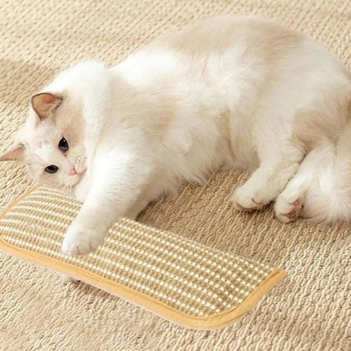 Cat Scratching Pillow Catnip Infused Textured Scratcher