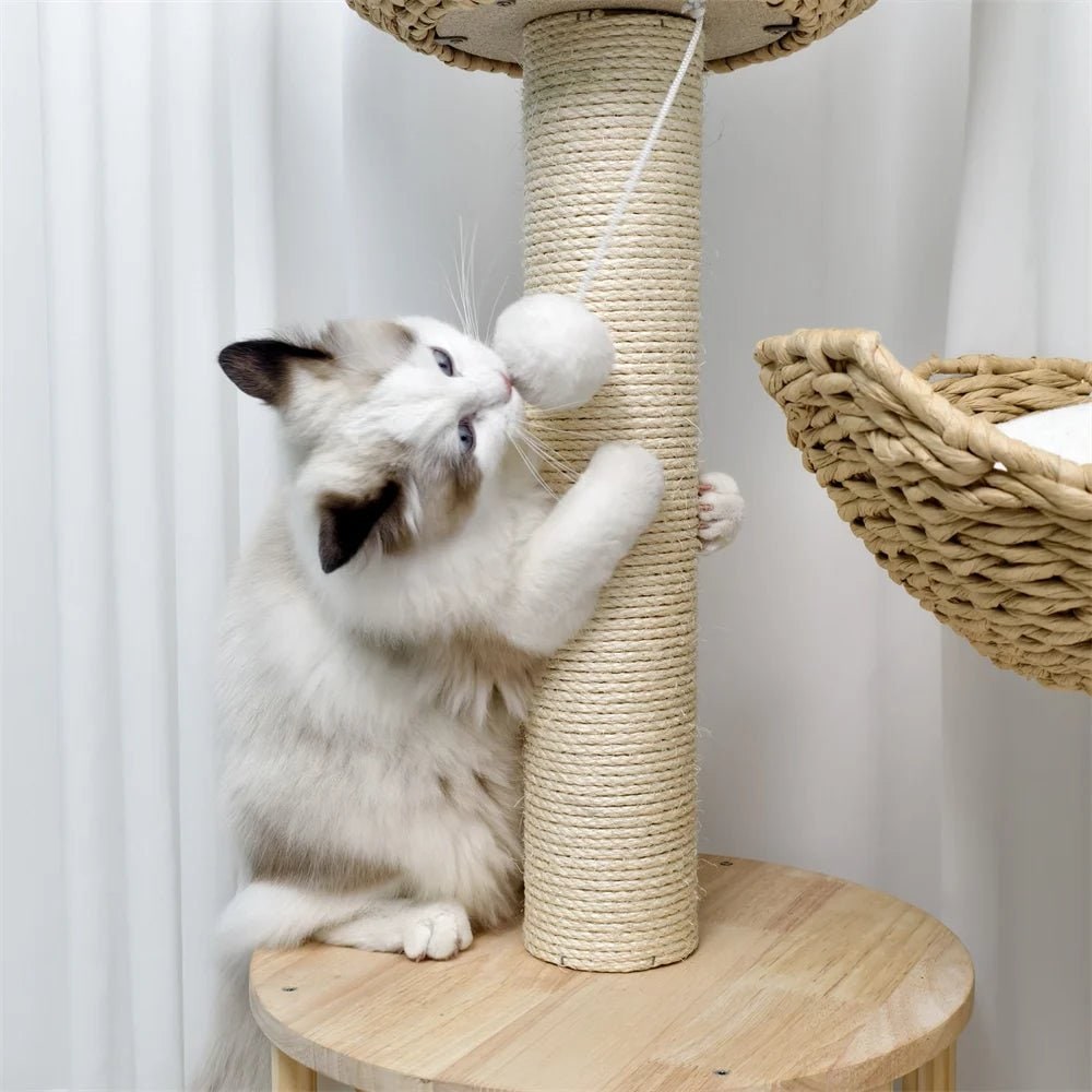 Cat Tree Tower Wood | Floor to Ceiling with Sisal Scratching Posts &amp; Woven Basket Beds | Multi-Level Climbing for Active Cats
