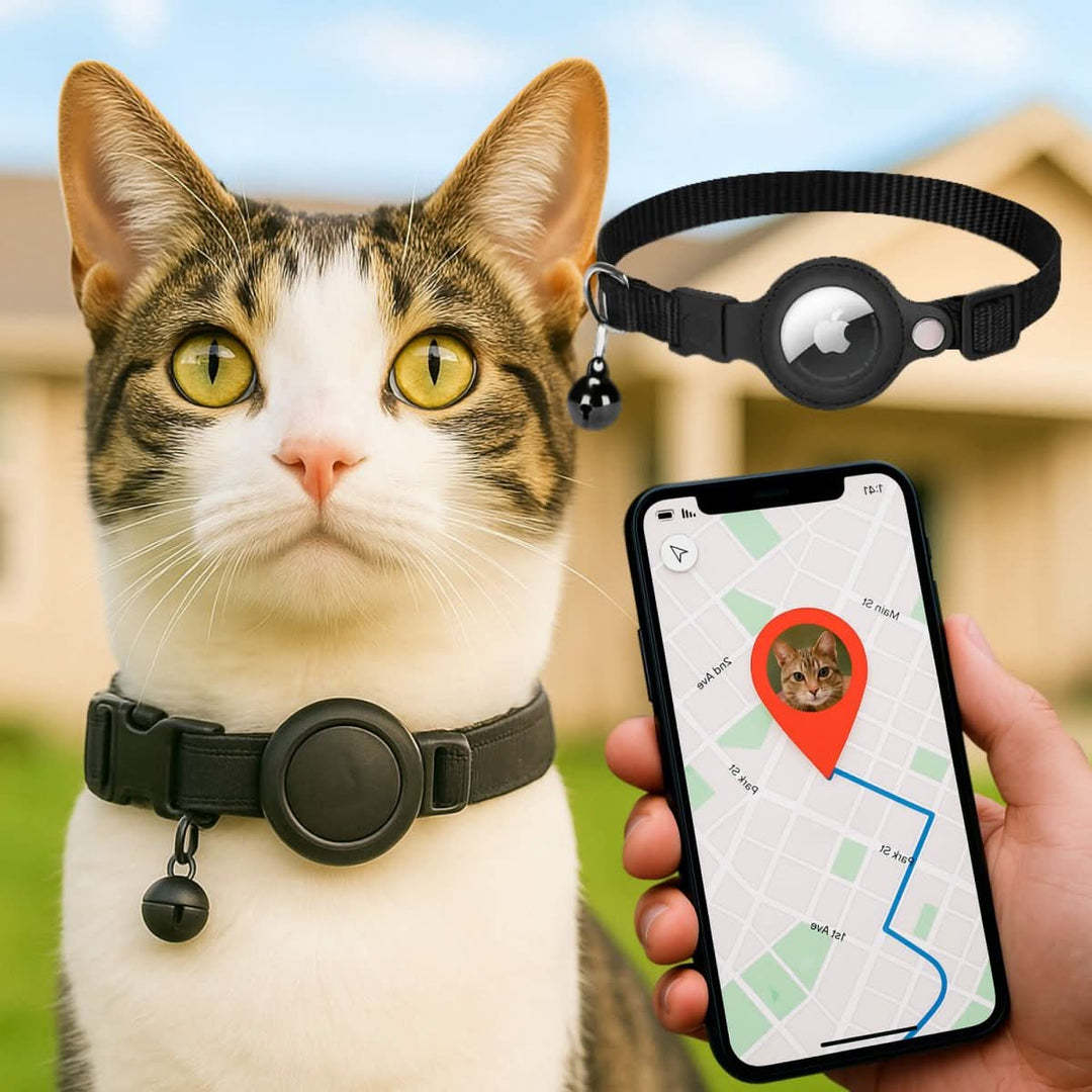 Cat collar with GPS mount and safety buckle 0