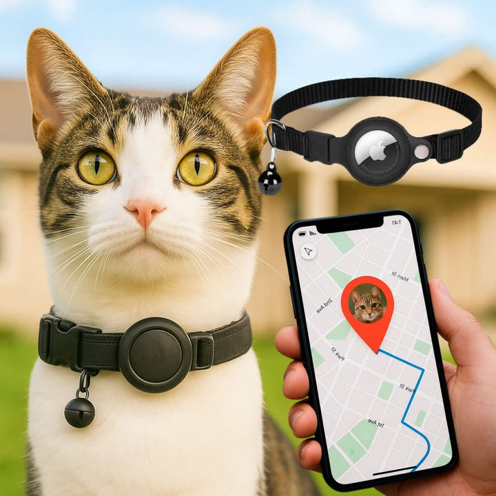 Cat collar with GPS mount and safety buckle 0