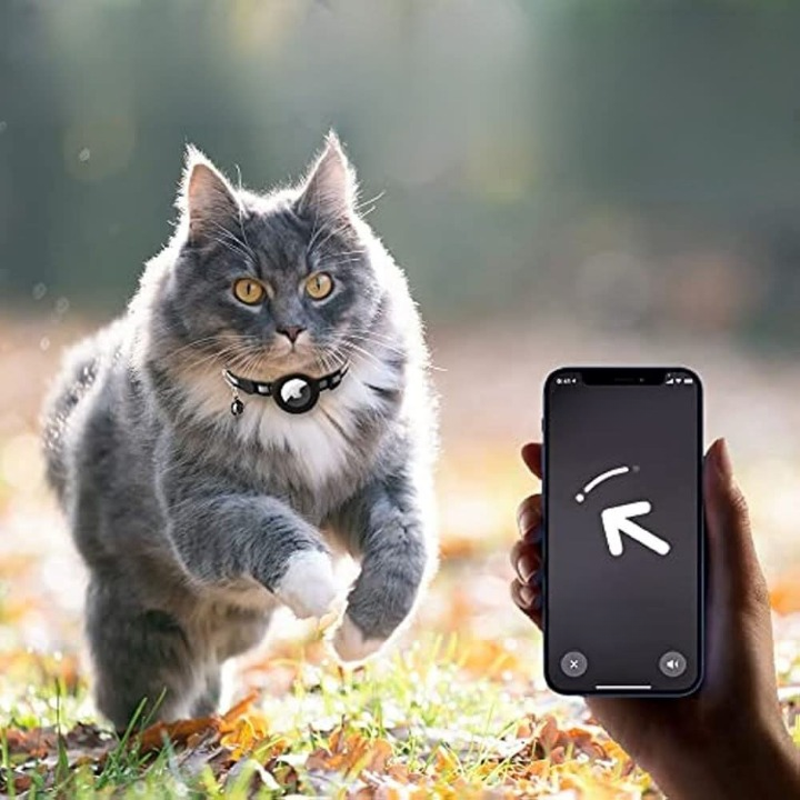 Cat collar with GPS mount and safety buckle 1