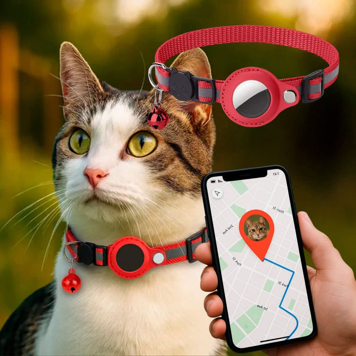 Cat collar with GPS mount and safety buckle 11