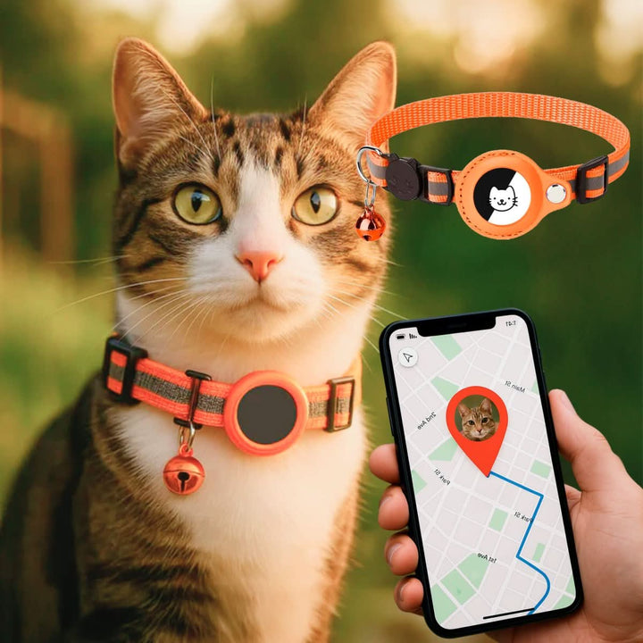Cat collar with GPS mount and safety buckle 13