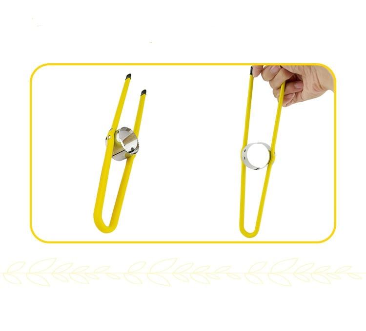 Corn Peeler | Stainless Steel Corn Kernel Remover Tool