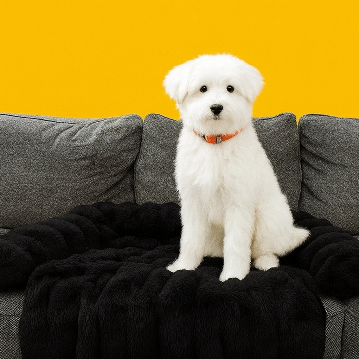 Dog Sofa Bed Plush Fabric | Raised Sides, Cushioned Base &amp; Removable Cover | Protects Furniture, Supports Restful Sleep