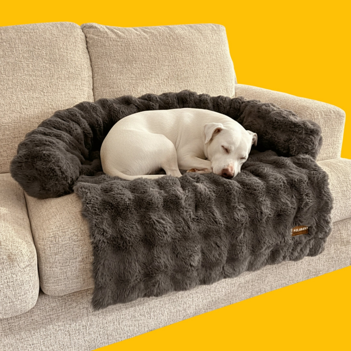Dog Sofa Bed Plush Fabric | Raised Sides, Cushioned Base &amp; Removable Cover | Protects Furniture, Supports Restful Sleep