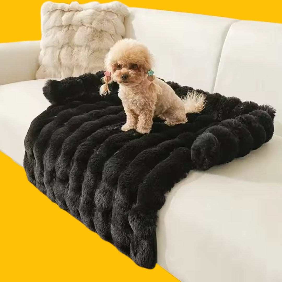Dog Sofa Bed Plush Fabric | Raised Sides, Cushioned Base &amp; Removable Cover | Protects Furniture, Supports Restful Sleep